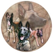 Malinois adesivo cane usato  Spedire a Italy