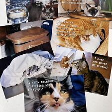 Bad cat postcards for sale  Poplar Bluff