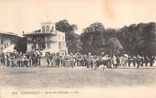 Chantilly sortie chevaux d'occasion  France