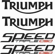 Triumph speed triple usato  Carmiano