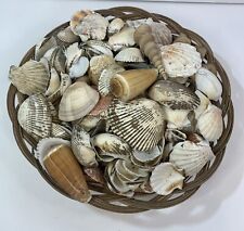 full basket shells sea for sale  Wilmington