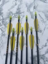 Archery arrows carbon for sale  BILLERICAY