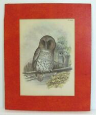 Vintage matted owls for sale  New Hampton