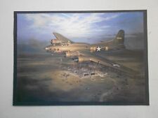 Airforce print sally for sale  LANCASTER