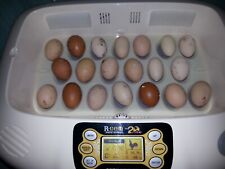 Egg hatching equipment for sale  CARDIFF