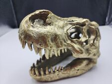 Gold rex fossil for sale  Hopkinsville