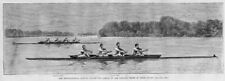 Rowing sports oars for sale  New London