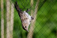 Vogelnetz vogelberingung hilfs gebraucht kaufen  Schmalkalden