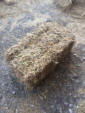Small bale wheat for sale  GILLINGHAM