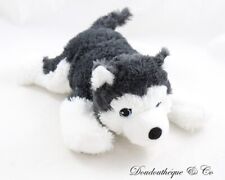 Peluche chien husky d'occasion  Cavaillon