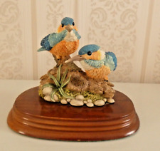 Pair kingfishers nature for sale  UK