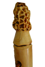 Walking stick morel for sale  Ozark