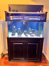 Used fish tank for sale  Duluth