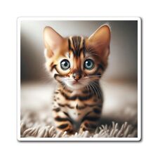 Bengal kitten magnet for sale  Norcross