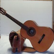 Chitarra melody guitars usato  Gallarate