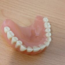 Zahnprothese gebiss zahnersatz gebraucht kaufen  Norf