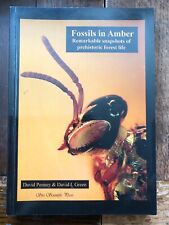 Fossils amber remarkable for sale  MANCHESTER