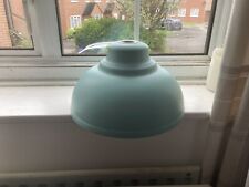 duck egg lamp shade for sale  CRAWLEY