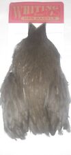 Whiting hen cape for sale  Ireland