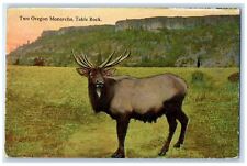 c1910 Two Oregon Monarchs Table Rock Moose Animal Mountain Vintage OR  Postcard for sale  Shipping to South Africa