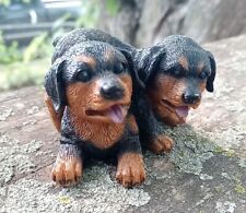 rottweiler pups for sale  Davenport