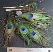 peacock sword feathers for sale  Shipping to Ireland