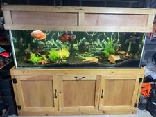 6x2x2ft fish tank for sale  ELY