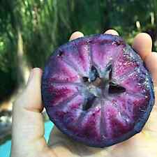 Sprouted purple star for sale  Lincolnton