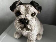 Mini puppy schnauzer for sale  LIVINGSTON