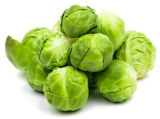sprouts vegetable for sale  Gurnee