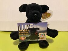 Luke black labrador for sale  Saint Charles