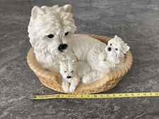 Leonardo westie pup for sale  LEIGH-ON-SEA