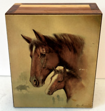 Vintage horse colt for sale  Atascadero