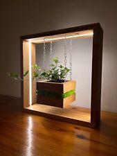 Lampa drewniana, lampa LED, lampa z rośliną, lampa na biurko na sprzedaż  PL