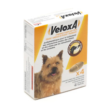 Vermifuge chien veloxa d'occasion  Tulle