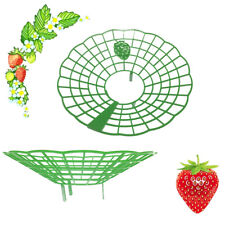 Strawberry supports stand for sale  Shipping to Ireland