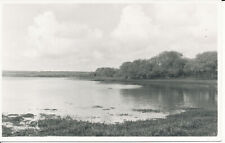 Pc19520 river cleddau for sale  MAIDSTONE