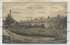 Durham postcard Whorlton the cottages barnard castle 1930s raphael tuck wln2 for sale  Shipping to South Africa