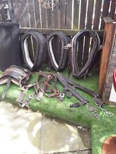 Job lot horse for sale  MANCHESTER