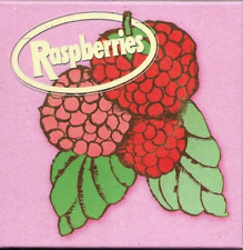 The Raspberries (Eric Carmen) - Conjunto de Álbum Clássico - Caixa com 4 CDs comprar usado  Enviando para Brazil