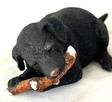 Two black labrador for sale  GAINSBOROUGH