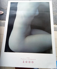 calendario pirelli 2000 usato  Savona