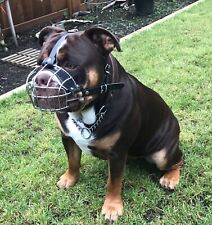 Strong dog muzzle for sale  Shipping to Ireland