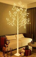 Fanshunlite lighted birch for sale  Unadilla