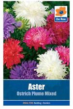 Packet aster ostrich for sale  UK