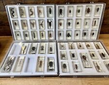 Insects resin set for sale  SUTTON