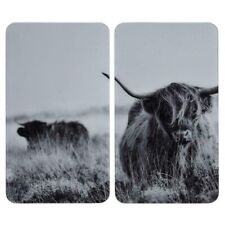 Wenko highland cattle for sale  ANTRIM
