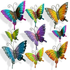 Butterflies large xlarge for sale  ROTHERHAM