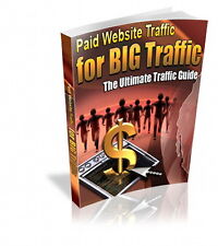 Paid website traffic for sale  Sparks