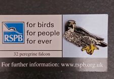 Peregrine falcon rspb for sale  CAMBERLEY